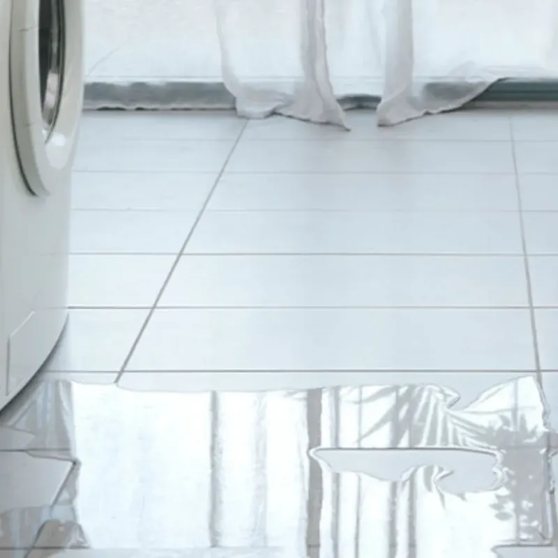 Appliance Leak Cleanup in Independence, LA