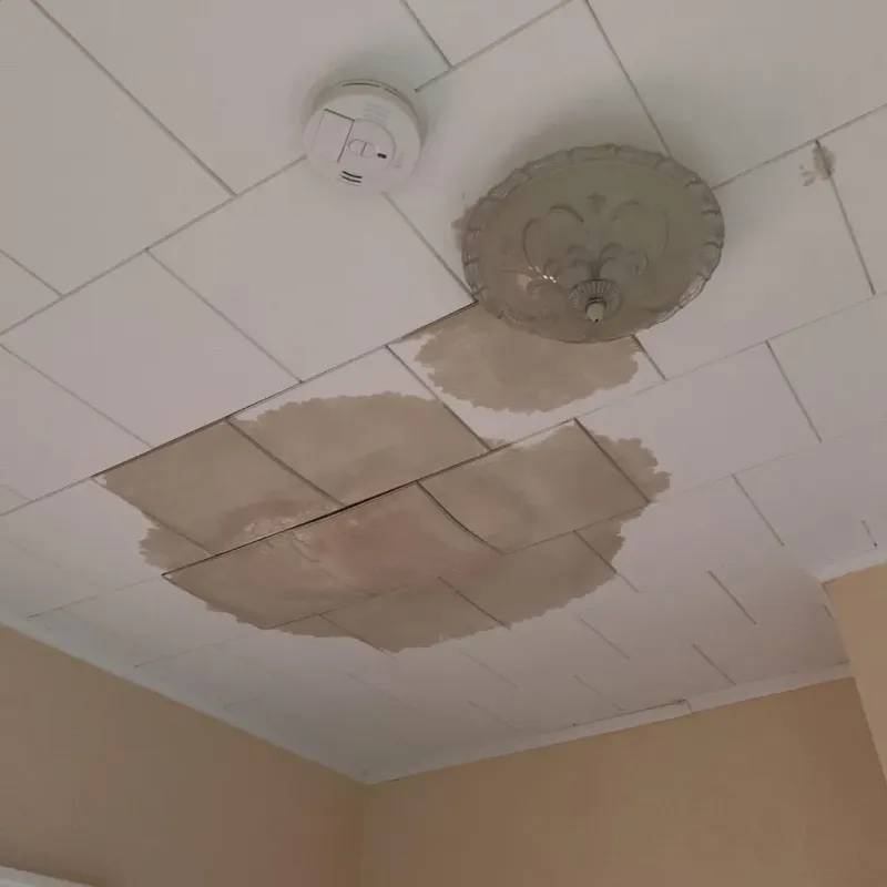 Ceiling Water Damage Repair in Independence, LA
